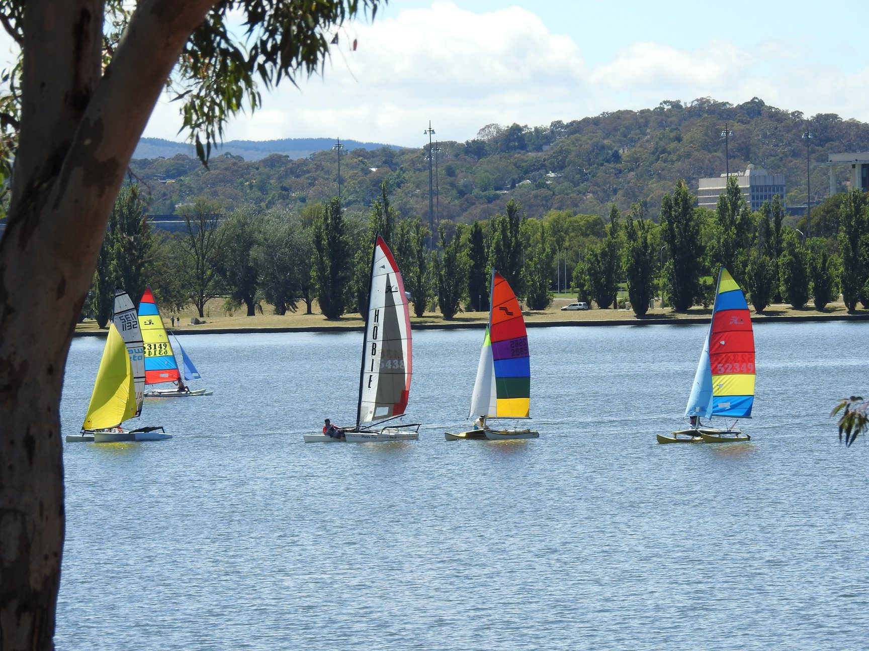 Sailing Club YMCA Canberra Region